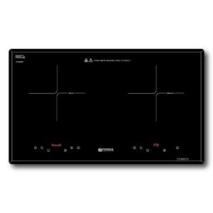 Bếp đôi 2 từ FZ-86ECS